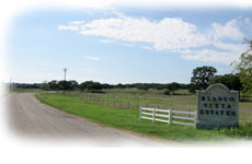Blanco Vista Estates Entrance