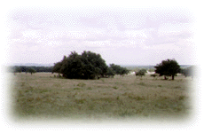 Scenic Views