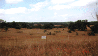 Lot 1