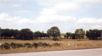 Lot 14