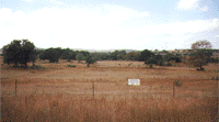 Lot 2