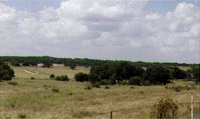 Lot 3