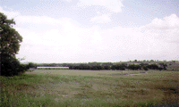 Lot 9